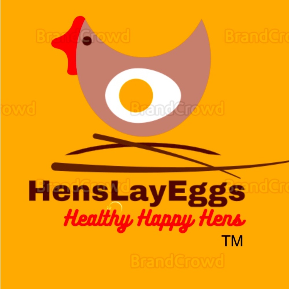 DONATE $5 helps to educate kids! “ Hens lay eggs! “